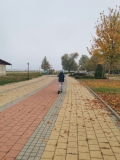 Дунавски парк през есента